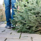 West Oxfordshire council to collect real Christmas tree's from residents doorsteps.