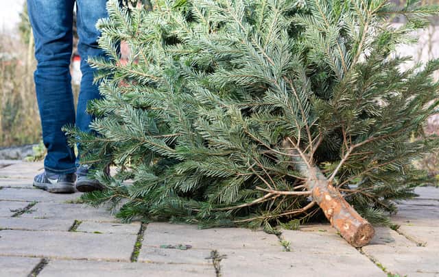 West Oxfordshire council to collect real Christmas tree's from residents doorsteps.