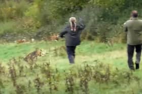 Footage from a video by West Midlands Hunt Saboteurs, which they say shows members chasing the hounds away from a fox.