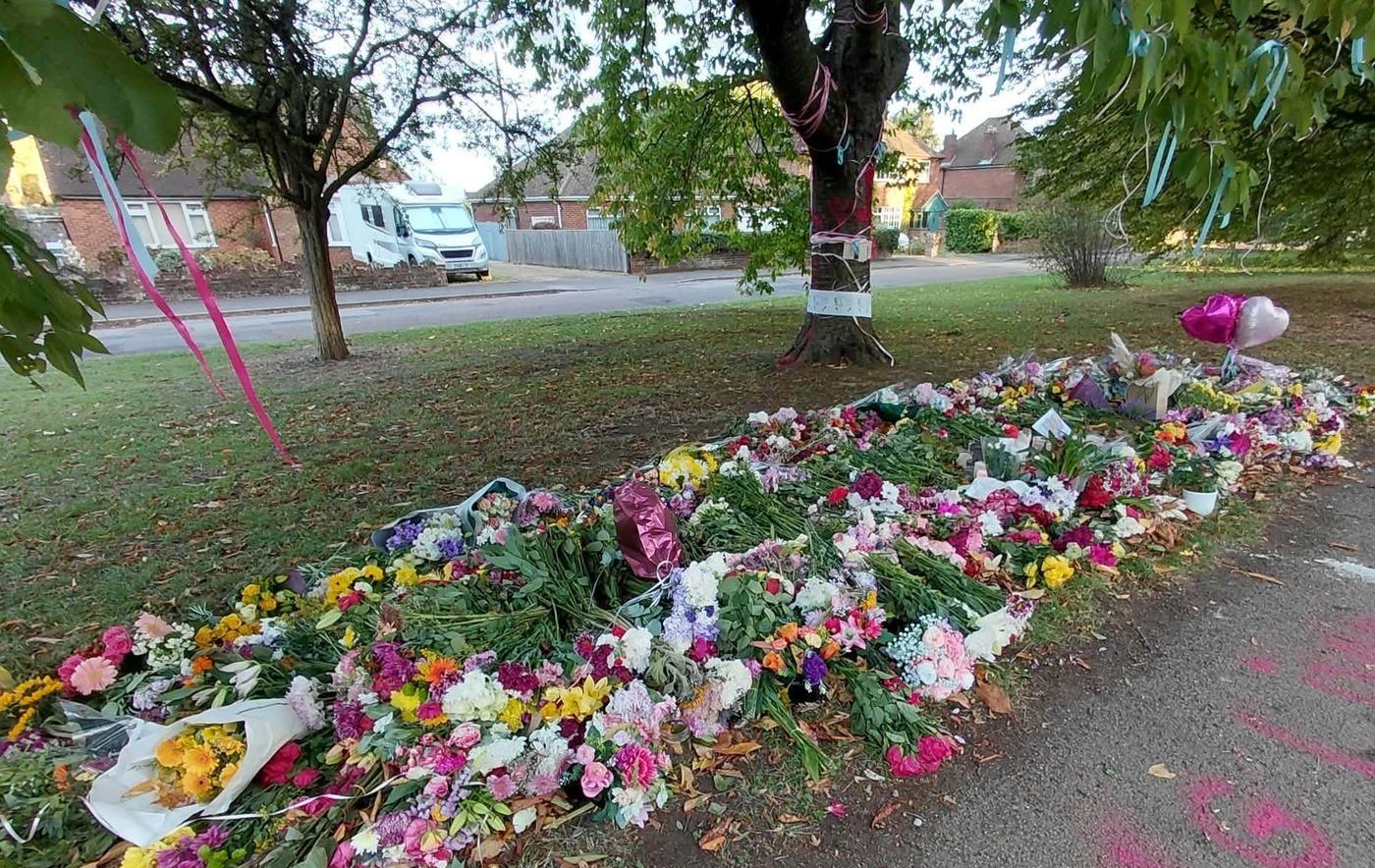 Fund in tribute to Banbury girl who died in crash is close to £12,000