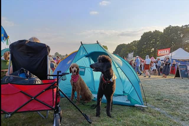 Even pets are able to enjoy Cropredy Festival.