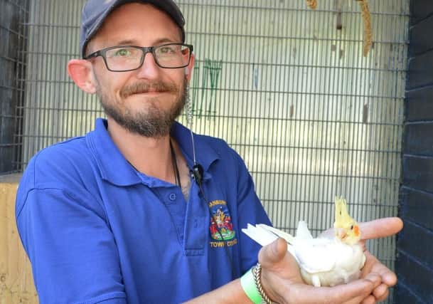 Pete Holly shows off the recently hatched cockatiel at People's Park aviary
