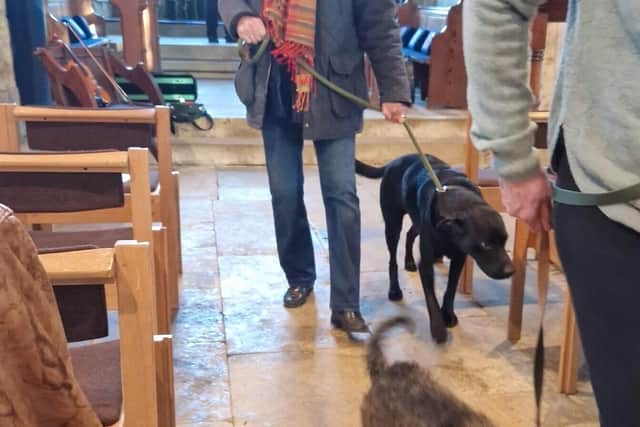 Fourteen dogs were blessed by the associate vicar in the special service for pets at Hanwell Church