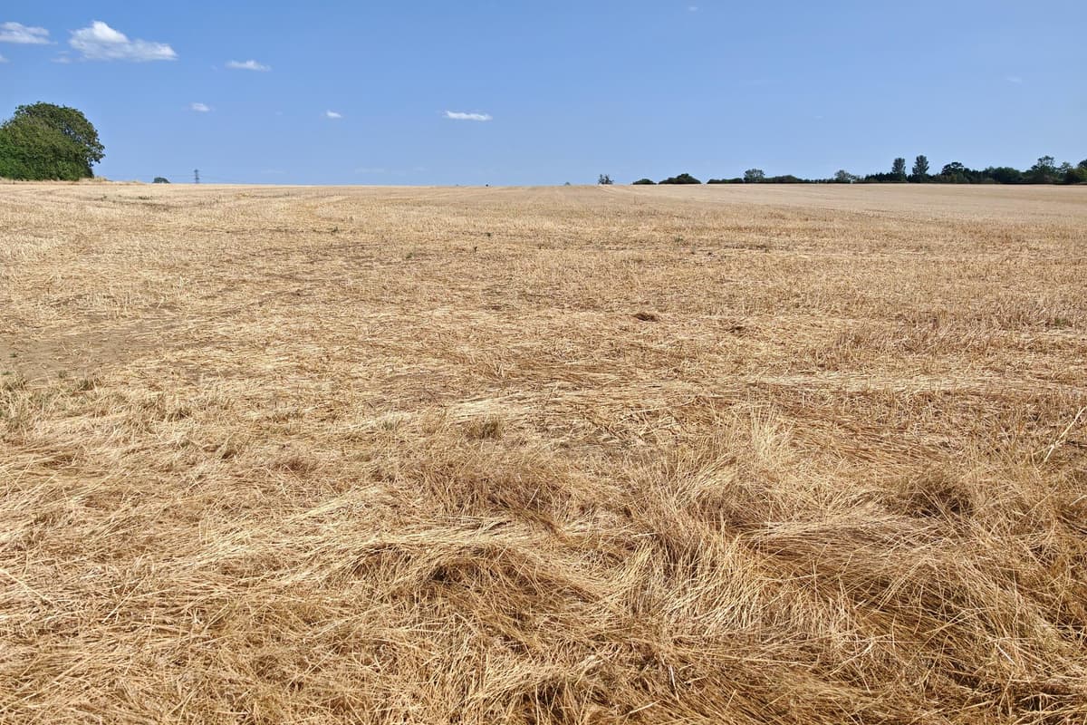 Drought officially declared for Oxfordshire following weeks of ...