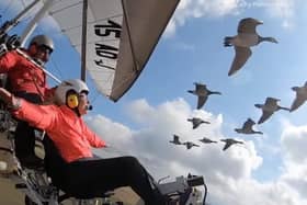 A songwriter from a village near Banbury cycled 600 miles to France to fly with birds and raise money for her new album.