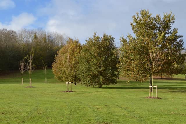 Fifty trees are being planted by Banbury Town Council as a living memorial to Queen Elizabeth II