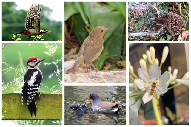 Some of the photos you have emailed to the Banbury Guardian