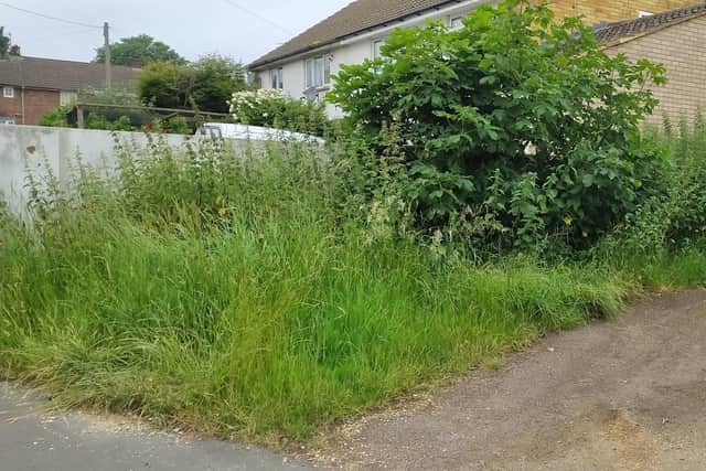 Due to the fly-tipped waste and dumped vehicles the council were unable to cut back the grass and hedges.