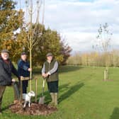 Cllr Kieron Mallon (left) and Cllr Martin Phillips (right) and dog Meg finish planting the last tree at Crouch Hill Open Space with park ranger Ian Harper