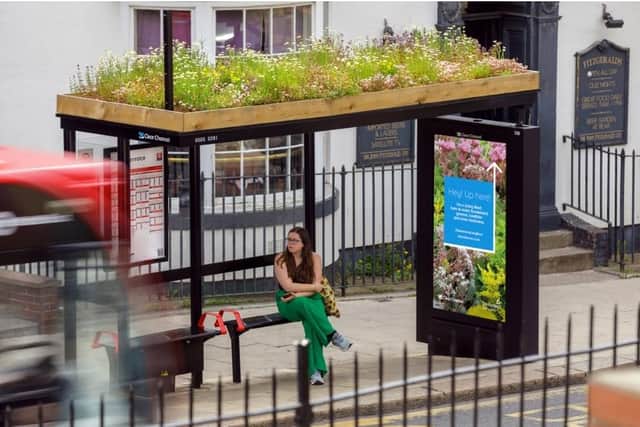 An example of the green roof bus stops the town council will introduce to Banbury next year.