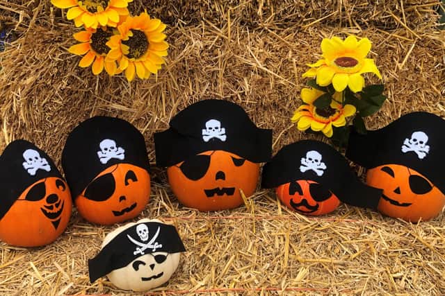 Popular visitor attraction Fairytale Farm is hosting a unique pirate-themed pumpkin picking event this Halloween.