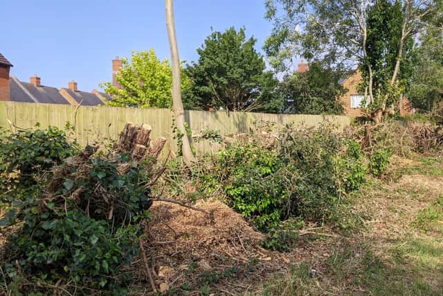 The hedge, hacked back by a sub contractor for a property services company