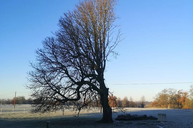 Stunning pictures of beautiful trees and snow covered fields that were taken by reader Simeon Crowther on his walks around the Banbury countryside.