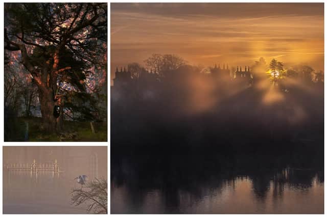 From stunning sunrises to venerable old oak trees, the latest dramatic awarded images have now been revealed for the 'Beautiful Blenheim 2023' Special Award!