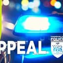 Police appeal for witnesses after man dies following crash near Mollington