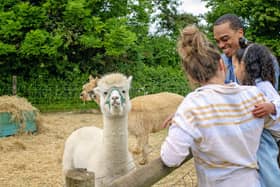 Families will be able to pet a range of different animals as part of Fairytale Farm's Easter holiday event.