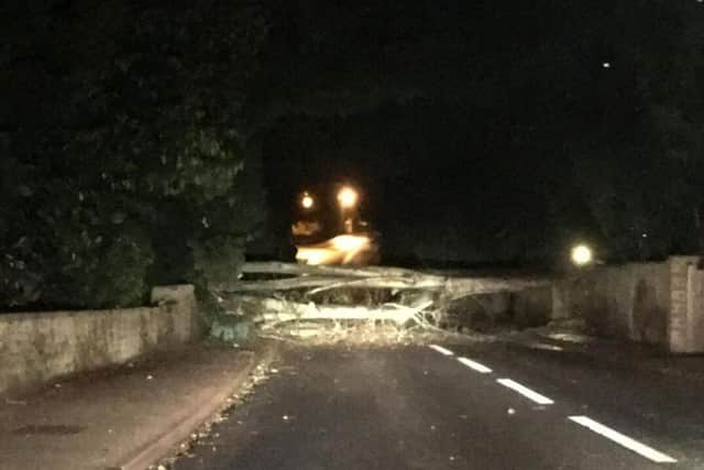 A tree was blown over across the main street in Bloxham. Picture by Danni O'Brien