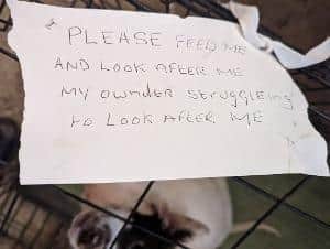 A note left by the side of a dog, abandoned by the side of an Oxfordshire road, in a cage