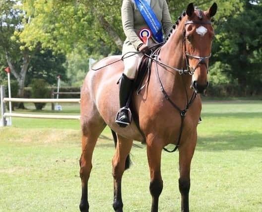 Laura Juniper and Rodney (Renaissance Man) will compete in the Working Hunter championship at the Horse of the Year Show next week