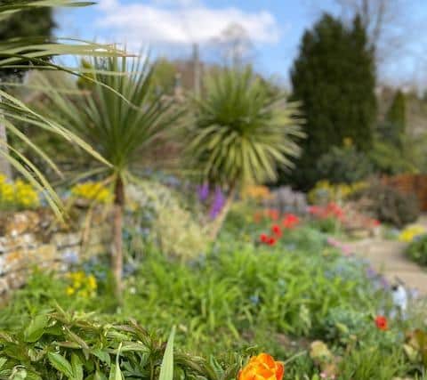 Flower and ornamental gardens and vegetable plots will be open to the public