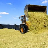 Farmers are warned to check their silage clamps to check there are no leaks. Hefty fines can be imposed on leaks polluting waterways