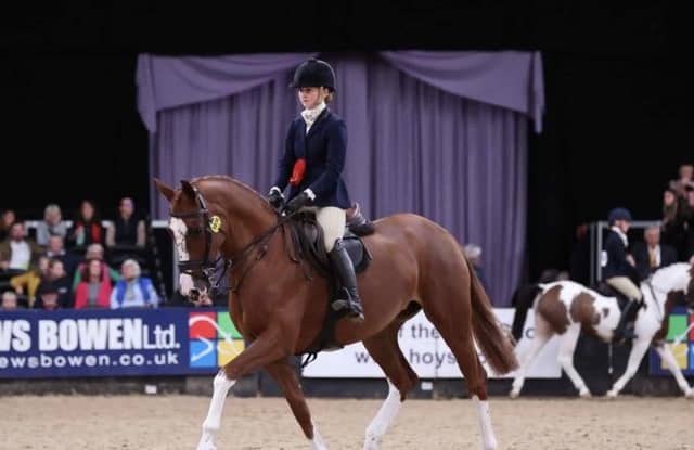 Hundreds of adults and children have qualified for showing classes at the Horse of the Year Show