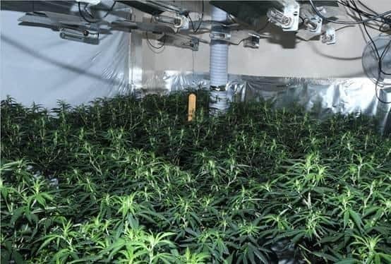 The cannabis factory in Edmunds Road, Banbury