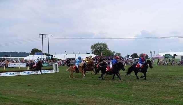 The Shetland Pony Grand National was a big hit with the large crowd at Moreton Show