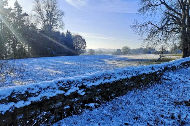 Stunning pictures of beautiful trees and snow covered fields that were taken by reader Simeon Crowther on his walk around the Banbury countryside.