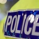 A 16-year-old boy and an 18-year-old man have been arrested on suspicion of stealing a care worker's car.