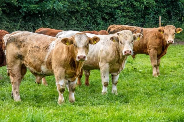 "The website content relates to global GHG emission figures for beef and has no relation to what we do here in the UK, where our cattle are grass-fed."