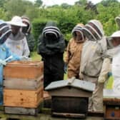Shipston Beekeepers run an introductory course for beginners later this month