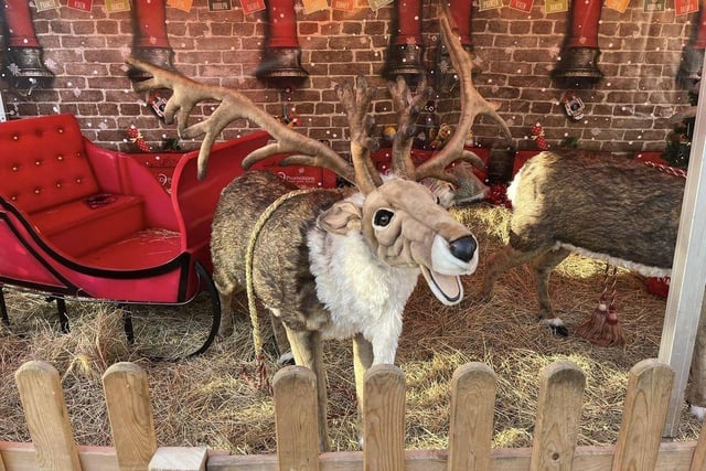 The market featured many Christmas attractions including reindeer.
