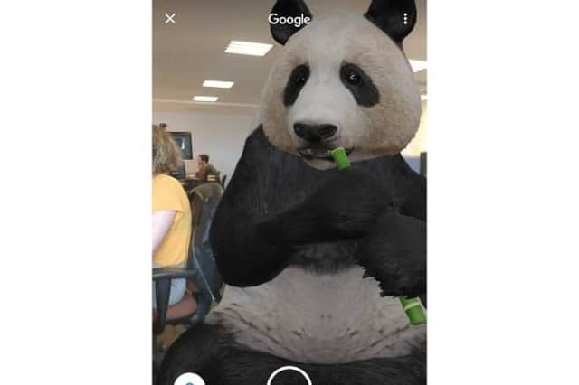 "What's black and white and AR all over?" Google tweeted next to a video of the AR panda (Photo: JPIMedia)