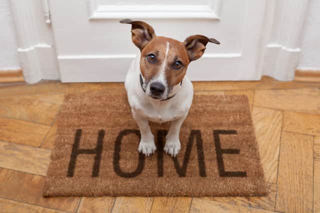 Tenants can now face additional rent charges of up to 600 annually to have pets in their home (Photo: Shutterstock)