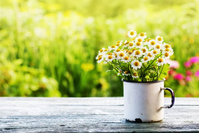 With the nights getting lighter and the weather getting a little milder, Spring is just around the corner (Photo: Shutterstock)