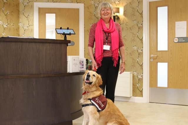 Betty the hearing dog with her owner Wendy Martin at Green Pastures Christian Nursing Home in Banbury, where Wendy works. Photo: Hearing Dogs for Deaf People