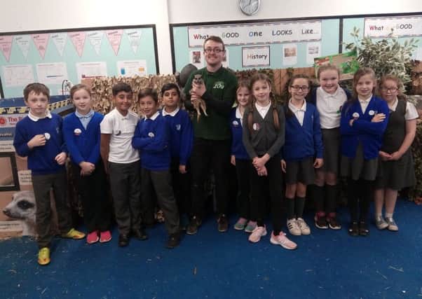 Hillview Primary School students get up close and personal with the creatures at the Exotic Zoo with expert handler Ryan Jordan NNL-171127-143014001