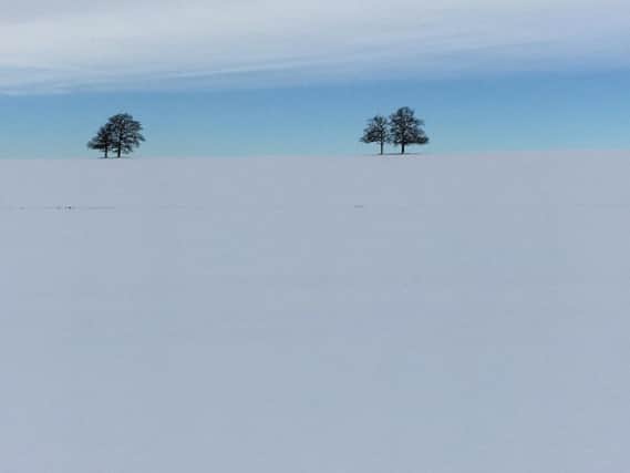 A stunning snap of a snowy field near Kineton by Chris Wyatt