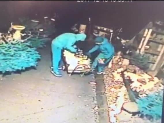 Thieves were spotted on camera stealing thousands of pounds worth of stock at the National Herb Centre.