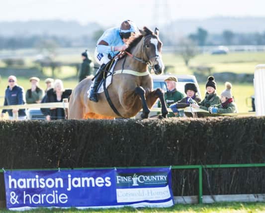 En Passe and Peter Mason on their way to winning the Knight Frank Heythrop Hunt Members, Subscribers and Farmers race. Photo: Neale Blackburn