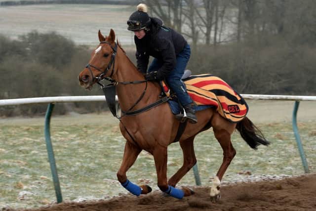 Bentelimar (Fern Dalziel) come up the Hull Farm all-weather gallop