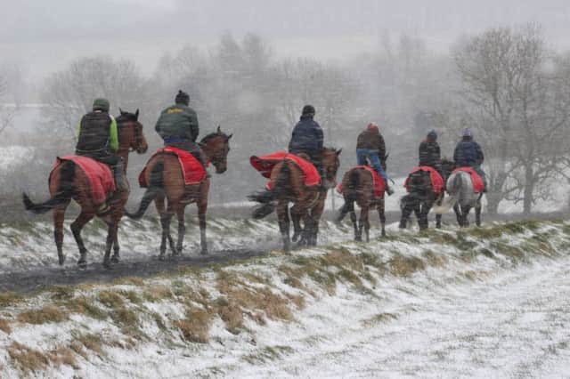 Some of Paul Webber's string battling the elements at Cropredy Lawn during the cold snap NNL-180503-100327002