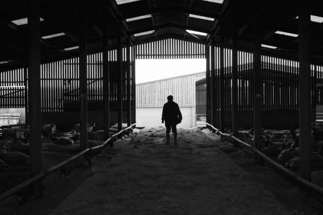Shepherd David Hill in one of Purston Lamb's barns. Photo: Purston Lamb/Tracey Philby NNL-180316-163624001