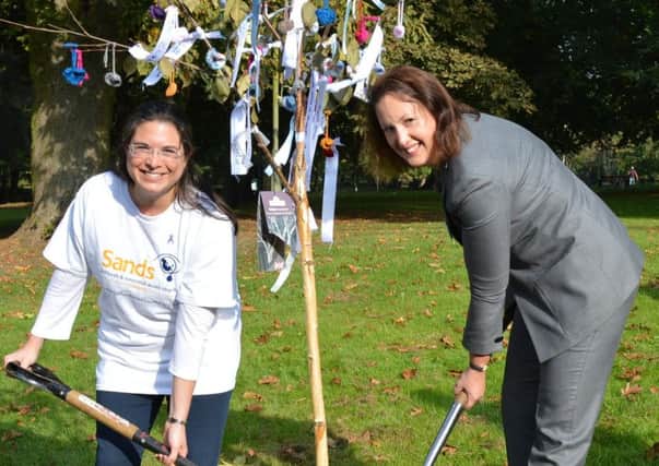 Karen Hancox of Sands (left) and MP Victoria Prentis plan the ribbon tree in Peoples Park, Banbury. NNL-161017-110558001