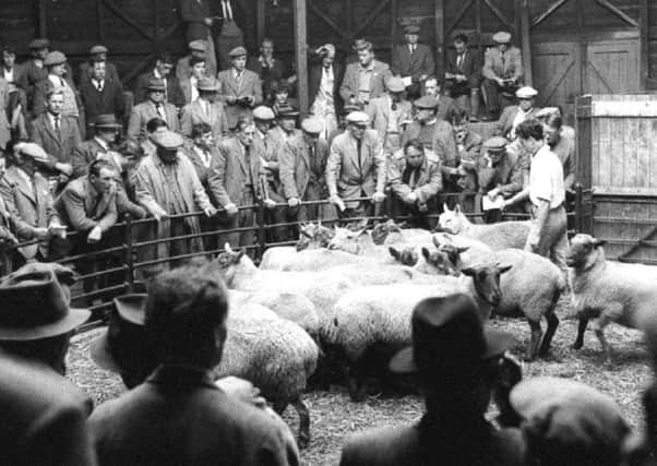Banbury Sheep auction, Look Back with Little NNL-180917-105626001