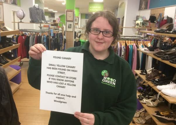 Ella Harriss of Wood Green charity shop in Banbury's High Street is looking for the owner of a lost canary  NNL-180920-153238001