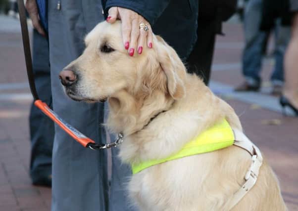 People with assistance dogs can be confident Banbury taxis will accept their custom, according to Cherwell District Council. Stock photo courtesy of Guide Dogs NNL-180921-153840001