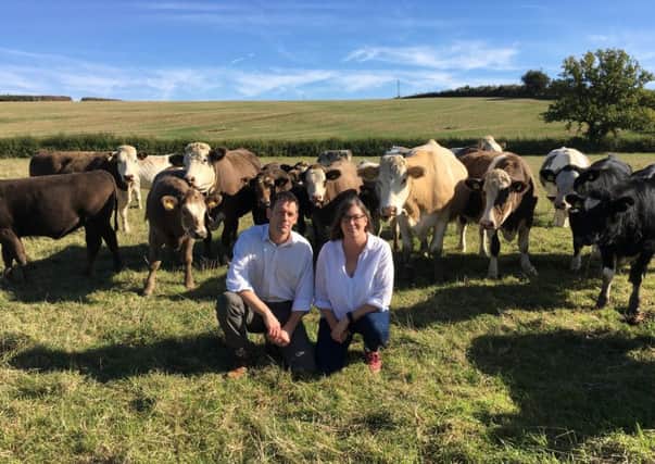 MilkBeef Stuart and Emma Watson with their herd of beef cattle NNL-181016-101414001
