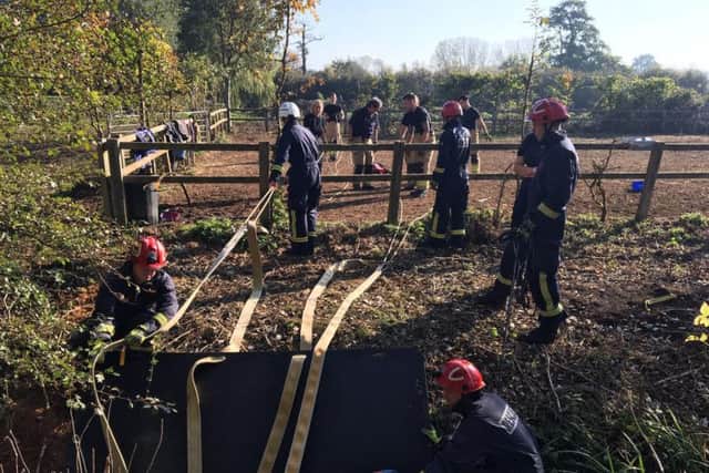 Heavy lifting strops were put around the mare to pull it out of the ditch. Photo: Oxfordshire Fire and Rescue Service